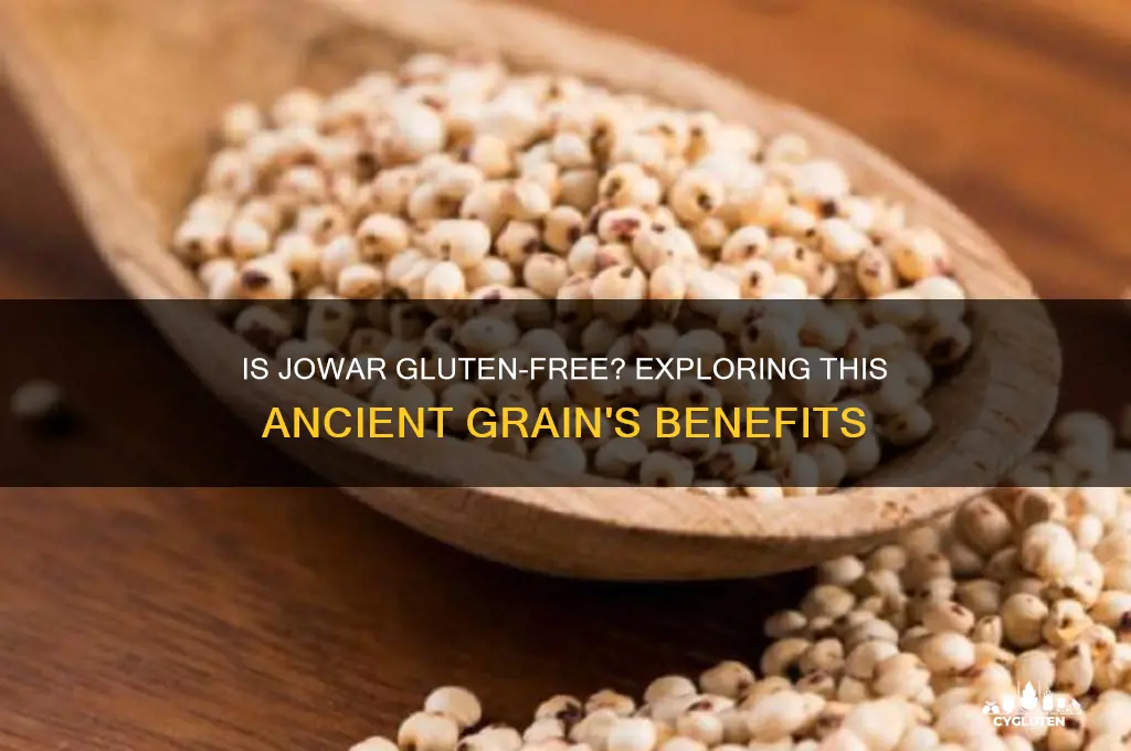 is jawar gluten free