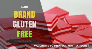 Is Jello Brand Gluten-Free? A Clear Answer for Celiac Diets
