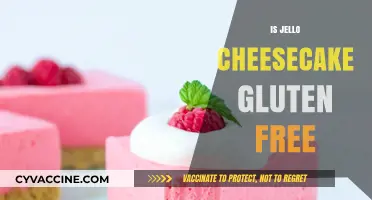 Is Jello Cheesecake Gluten-Free? A Delicious Dessert Dilemma Explained