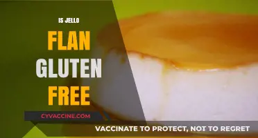 Is Jello Flan Gluten-Free? A Complete Guide to Ingredients