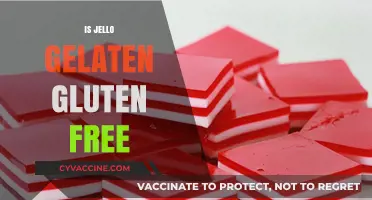 Is Jello Gelatin Gluten-Free? A Clear Answer for Dietary Needs
