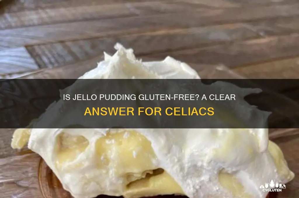 is jello pudding gluten-free