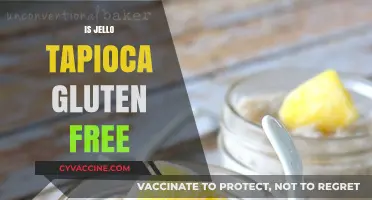 Is Jello Tapioca Gluten-Free? A Clear Answer for Celiacs
