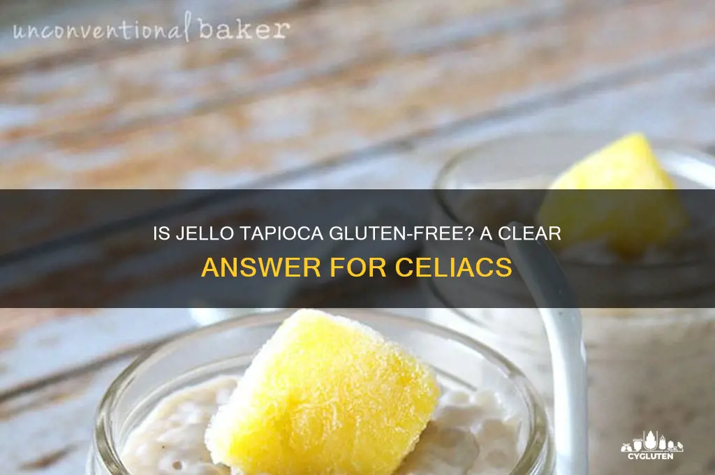 is jello tapioca gluten free