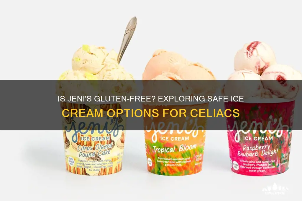 is jenis gluten free