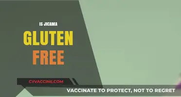 Is Jicama Gluten Free? A Comprehensive Guide to This Root Veggie