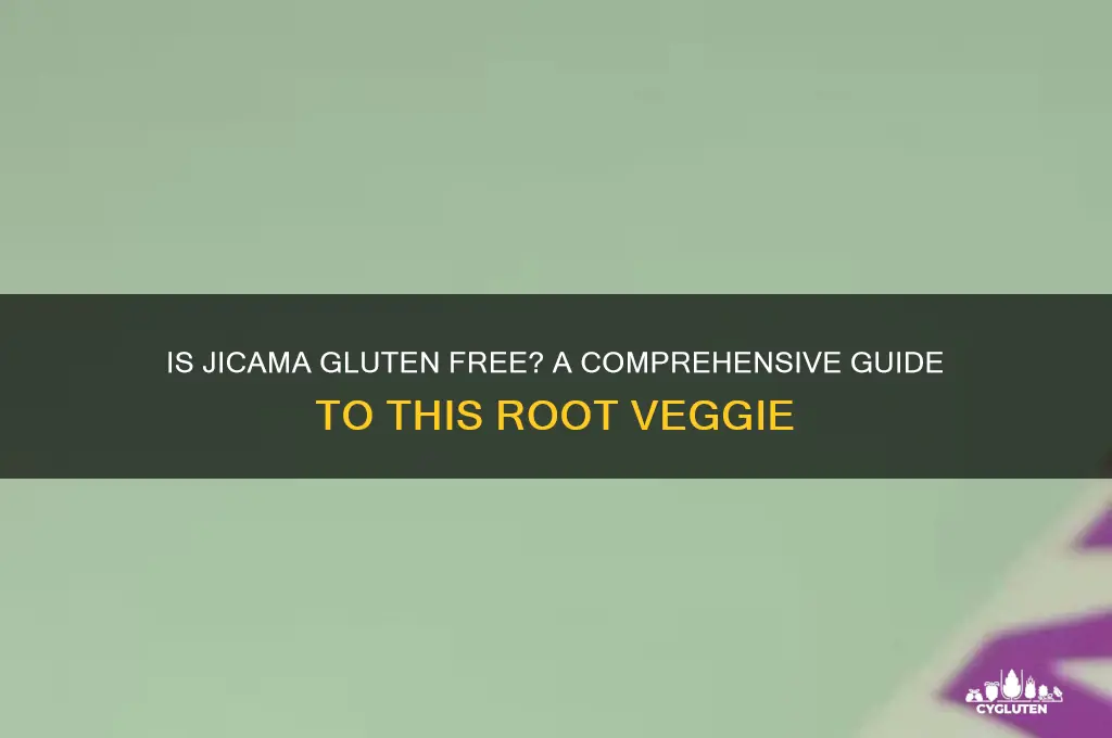 is jicama gluten free
