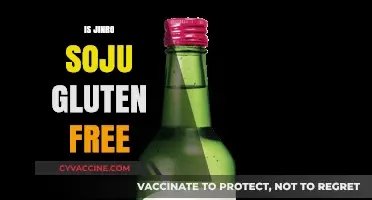 Is Jinro Soju Gluten-Free? A Complete Guide for Drinkers