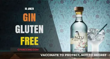 Is Jinzu Gin Gluten-Free? A Comprehensive Guide for Gin Lovers