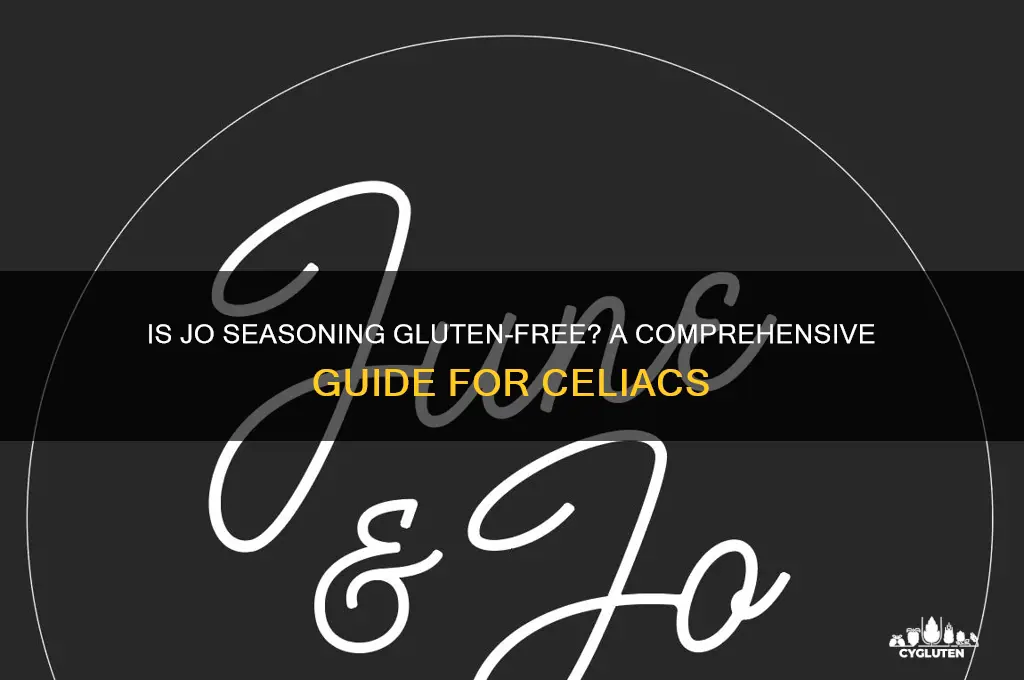 is jo seasoning gluten free