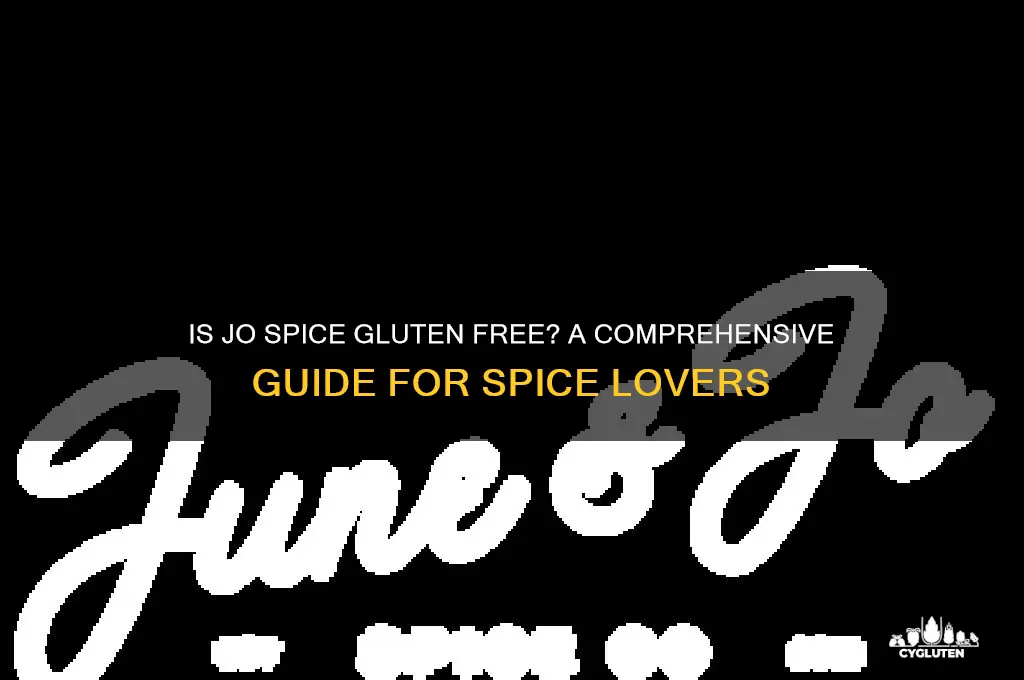 is jo spice gluten free