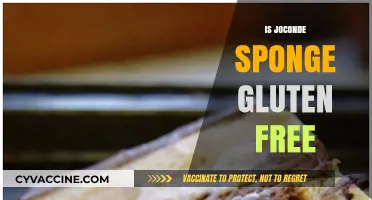 Is Joconde Sponge Gluten-Free? A Comprehensive Guide for Bakers
