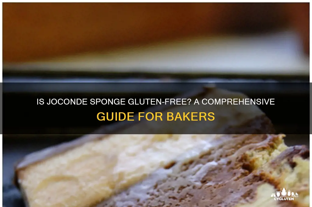 is joconde sponge gluten free