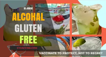 Is Joose Alcohol Gluten-Free? Uncovering the Facts for Health-Conscious Drinkers