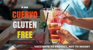 Is Jose Cuervo Gluten-Free? A Complete Guide for Tequila Lovers