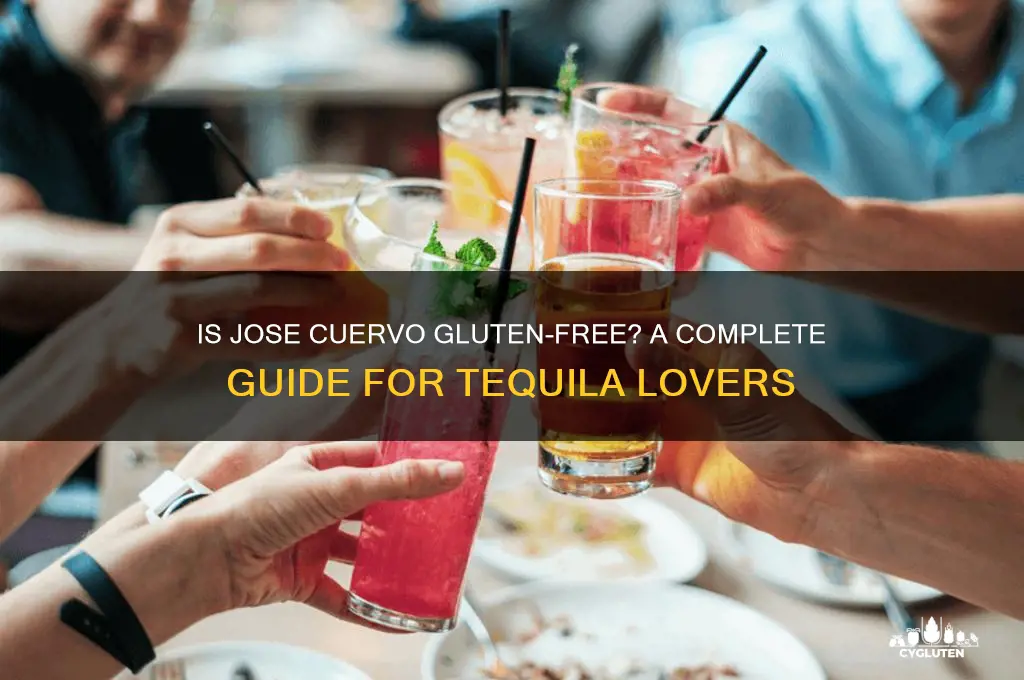 is jose cuervo gluten free