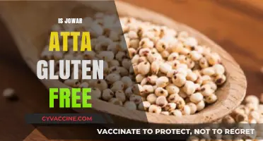 Is Jowar Atta Gluten-Free? Unveiling the Truth for a Healthy Diet
