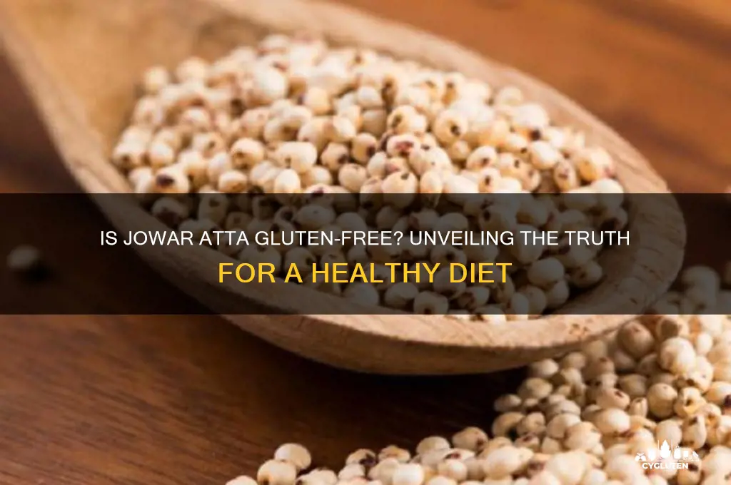 is jowar atta gluten free