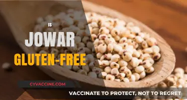 Is Jowar Gluten-Free? Uncovering the Truth for a Healthy Diet
