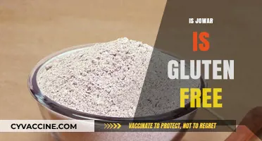 Is Jowar Gluten-Free? Discover the Truth About This Ancient Grain