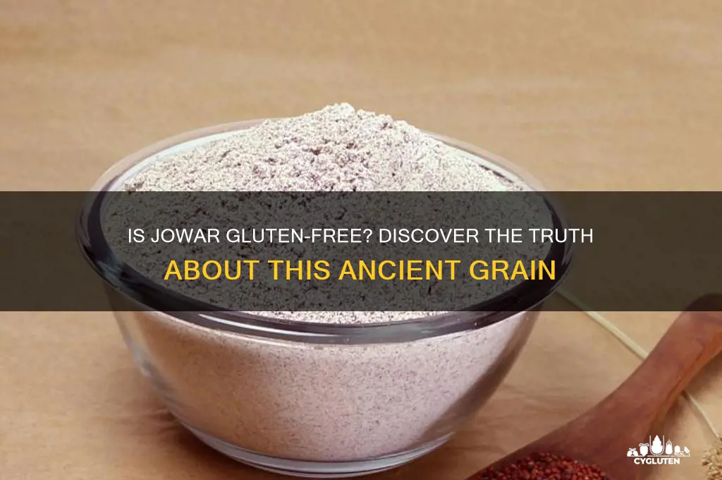 is jowar is gluten free