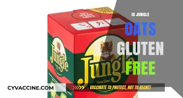 Jungle Oats Gluten-Free: Uncovering the Truth for Celiac Diets