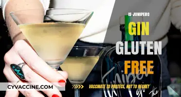 Is Junipero Gin Gluten-Free? A Comprehensive Guide for Gin Lovers