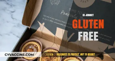 Is Junket Gluten Free? A Complete Guide to This Dessert