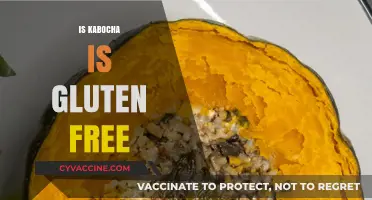 Is Kabocha Gluten-Free? A Comprehensive Guide to This Winter Squash