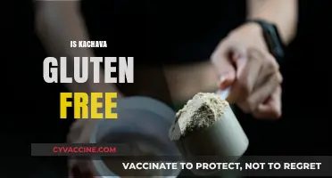Is Kachava Gluten-Free? A Comprehensive Guide to Its Ingredients