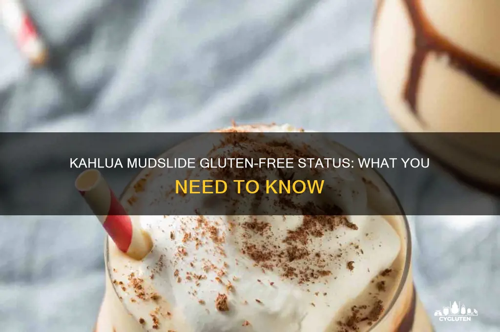 is kahlua mudslide gluten free