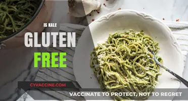 Is Kale Gluten-Free? Uncovering the Truth About This Superfood