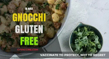 Is Kale Gnocchi Gluten-Free? A Complete Guide to Ingredients