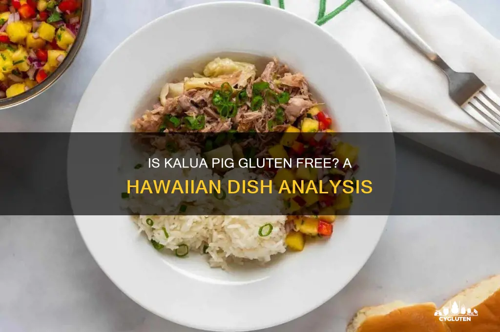 is kalua pig gluten free