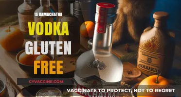 Is Kamchatka Vodka Gluten-Free? A Detailed Guide for Drinkers