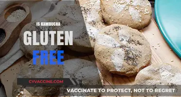 Is Kombucha Gluten-Free? Unraveling the Fermented Tea Mystery