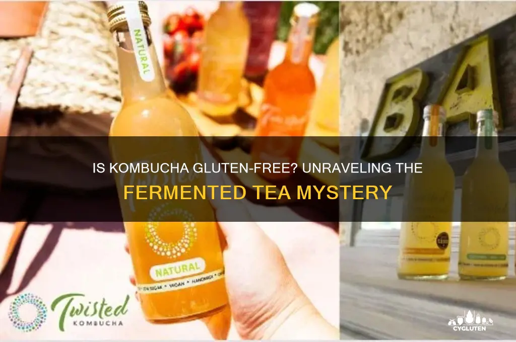 is kambucha gluten free