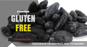 Is Kamchatka Gluten Free? Exploring the Russian Peninsula's Dietary Options