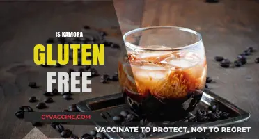 Is Kamora Gluten-Free? A Detailed Look at Its Ingredients