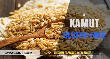 Is Kamut Gluten-Free? Unraveling the Ancient Grain Mystery