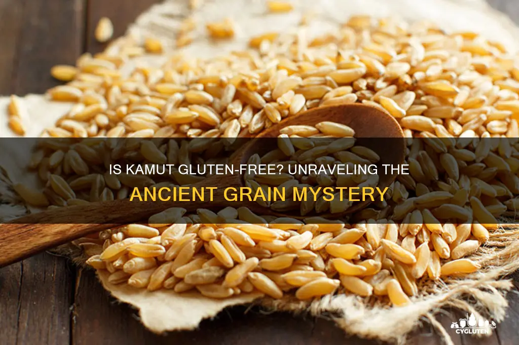 is kamut gluten-free