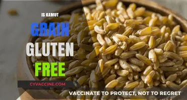 Is Kamut Grain Gluten-Free? Unraveling the Truth for Your Diet