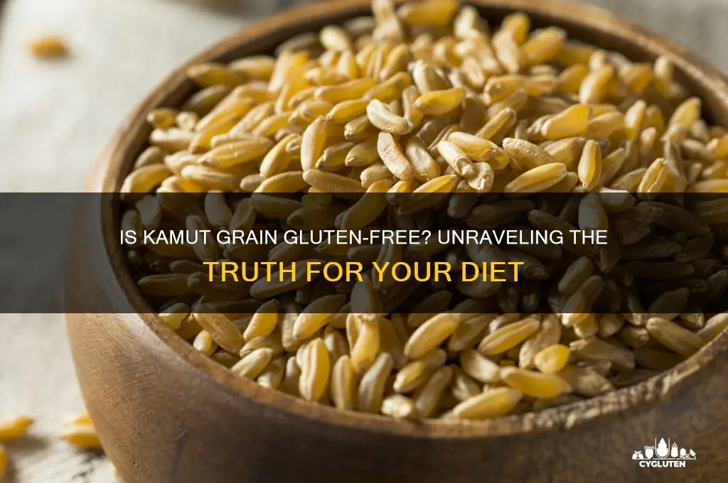 is kamut grain gluten free