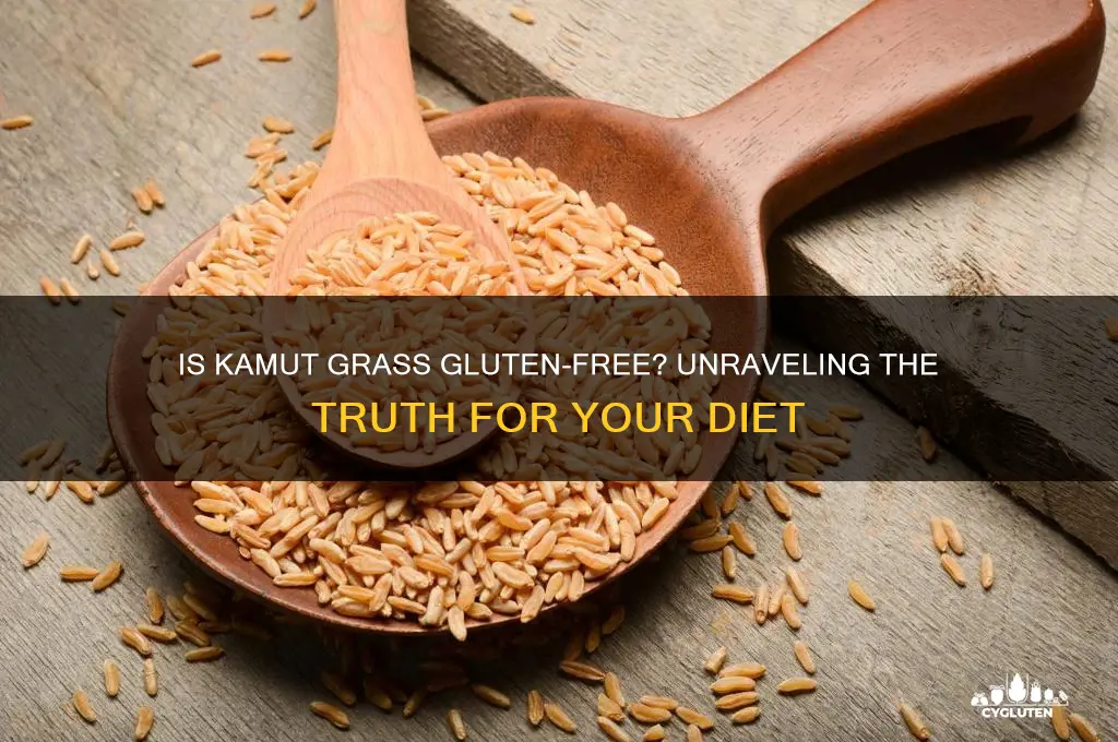 is kamut grass gluten free
