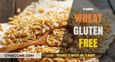 Is Kamut Wheat Gluten-Free? Unraveling the Truth for Your Diet
