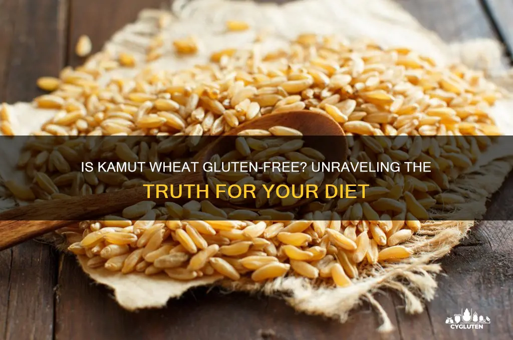 is kamut wheat gluten free