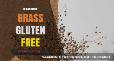 Is Kangaroo Grass Gluten-Free? A Comprehensive Guide for Celiacs