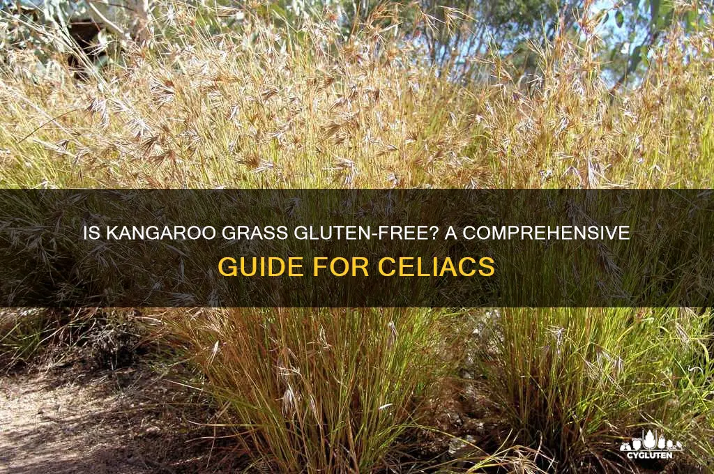 is kangaroo grass gluten free