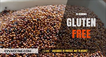 Is Kaniwa Gluten-Free? A Complete Guide to This Ancient Grain