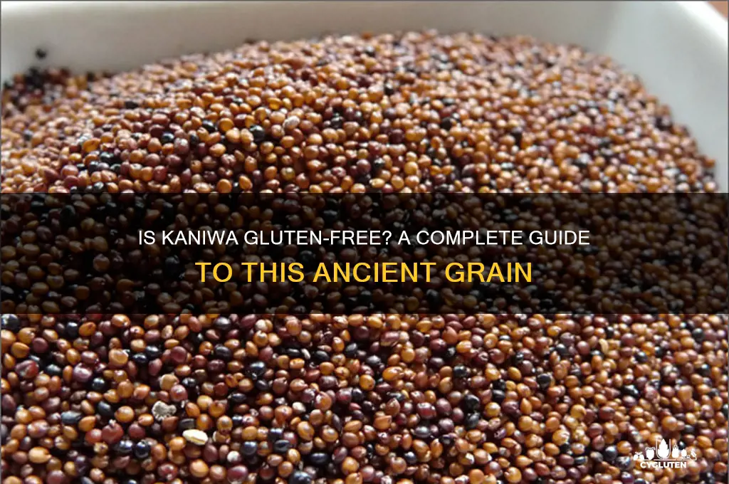 is kaniwa gluten free
